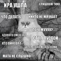 ира ушла стол пустой никто не мяукает мата не слышно адового смеха нет слишком тихо целая стена между нами что делать кто виноват почемуууу?