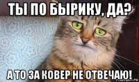 ты по бырику, да? а то за ковер не отвечаю!