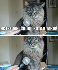 Встречаю злово кота и такой 