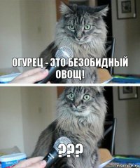 ОГУРЕЦ - ЭТО БЕЗОБИДНЫЙ ОВОЩ! ???