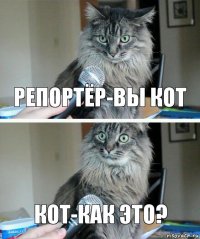 репортёр-вы кот кот-как это?