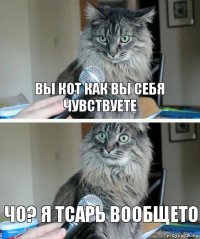 вы кот как вы себя чувствуете чо? я тсарь вообщето