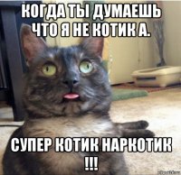 когда ты думаешь что я не котик а. супер котик наркотик !!!