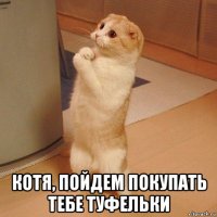  котя, пойдем покупать тебе туфельки