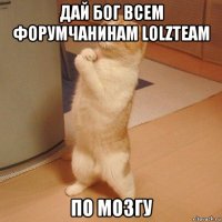 дай бог всем форумчанинам lolzteam по мозгу