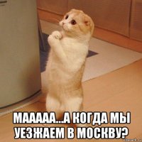  мааааа...а когда мы уезжаем в москву?