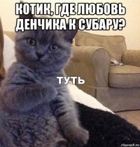 котик, где любовь денчика к субару? 