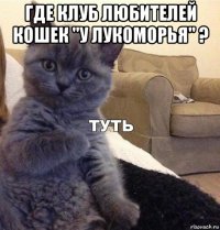 где клуб любителей кошек "у лукоморья" ? 