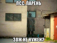 псс, парень зож не нужен?