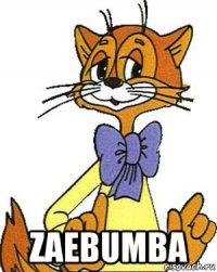  zaebumba