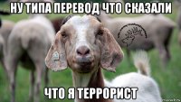 ну типа перевод что сказали что я террорист