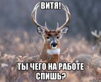 витя! ты чего на работе спишь?