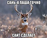 сань, а паша точно сайт сделает