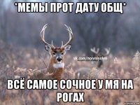 *мемы прот дату общ* всё самое сочное у мя на рогах