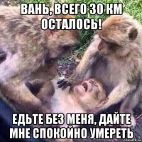 вань, всего 30 км осталось! едьте без меня, дайте мне спокойно умереть