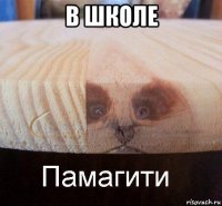 в школе 