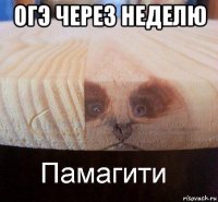 огэ через неделю 