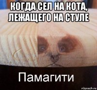 когда сел на кота, лежащего на стуле 