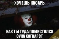 хочешь касарь как ты туда помистился сука хогварст