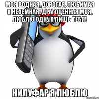 моя родная, дорогая, любимая и неземная! драгоценная моя, люблю одну я лишь тебя! нилуфар я люблю