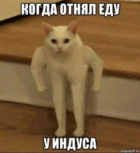 когда отнял еду у индуса