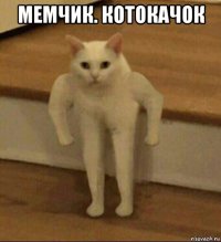 мемчик. котокачок 