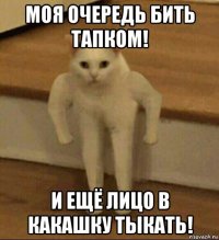 моя очередь бить тапком! и ещё лицо в какашку тыкать!