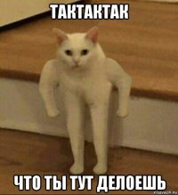 тактактак что ты тут делоешь