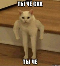 ты чё ска ты че