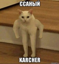 ссаный karcher