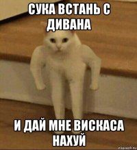 сука встань с дивана и дай мне вискаса нахуй