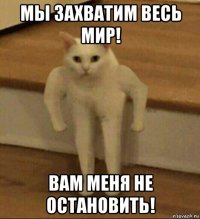 мы захватим весь мир! вам меня не остановить!