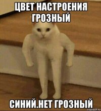 цвет настроения грозный синий.нет грозный