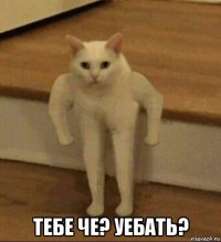  тебе че? уебать?