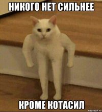 никого нет сильнее кроме котасил