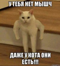 у тебя нет мышч даже у кота они есть!!!