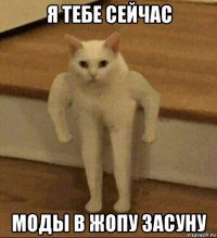 я тебе сейчас моды в жопу засуну