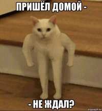 пришёл домой - - не ждал?