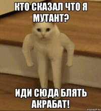 кто сказал что я мутант? иди сюда блять акрабат!