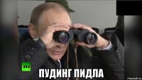  пудинг пидла