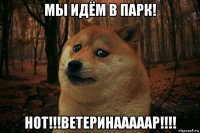 мы идём в парк! нот!!!ветеринааааар!!!!