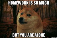 homework is so much but you are alone