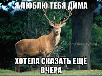 я люблю тебя дима хотела сказать ещё вчера