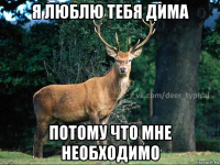 я люблю тебя дима потому что мне необходимо