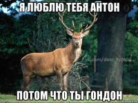я люблю тебя антон потом что ты гондон