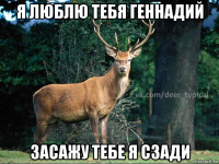 я люблю тебя геннадий засажу тебе я сзади