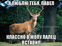 я люблю тебя, павел классно в жопу палец вставил