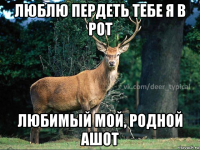 люблю пердеть тебе я в рот любимый мой, родной ашот