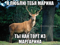 я люблю тебя марина ты как торт из маргарина