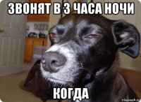 звонят в 3 часа ночи когда